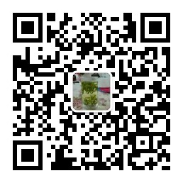 微信公众号二维码